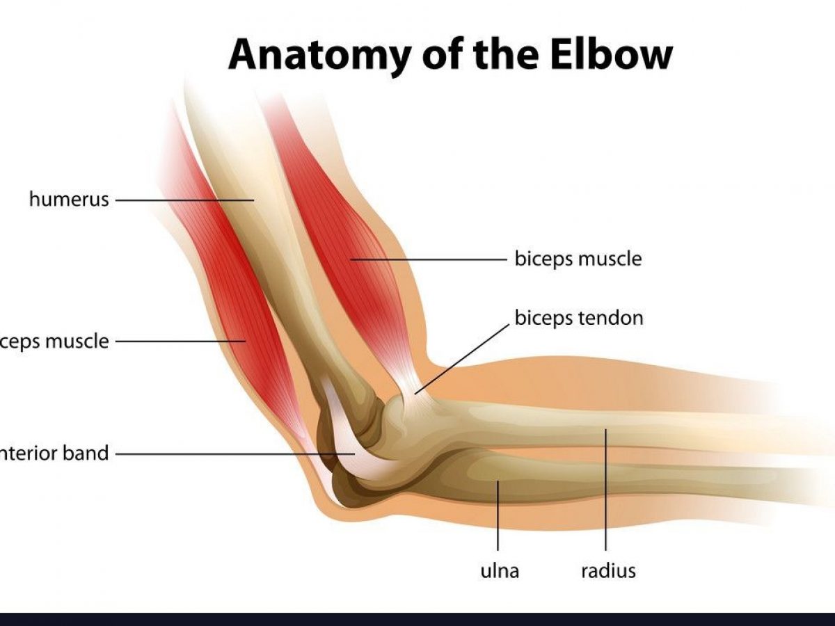 Shoulder,Elbow,Wrist pain